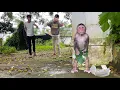 Lagu So Funny! Monkey Cubis Gets Into Big Trouble on the Way to Coffee! 😂