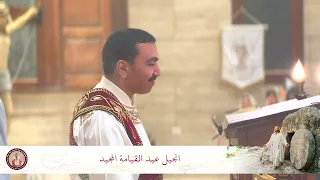 انجيل قداس عيد القيامة        بولا منير دندنها