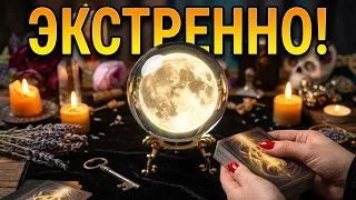 🔥💯 На Полнолуние! Экстренные НОВОСТИ! 🔥 #гадание