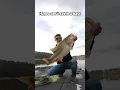 Can t catch a bass Throw these 3 baits