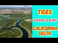 TIDES WHEN TO FISH - CA Delta Boat Positioning Water Velocity Shallow v Deep Waters Part 1