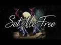 Set Me Free Acoustic Guitar Cover / Avenged Sevenfold