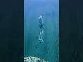 Download Lagu Freefall from the surface. Barracuda Lake, Coron Palawan, The Philippines 🇵🇭