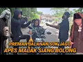 PREMAN JALANAN SOK JAGO APES MALAK SIANG BOLONG DI GUSUR WARGA Sagu