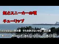 虹とスニーカーの頃　チューリップ　歌詞付き　フルカバー