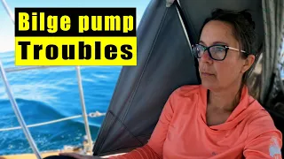 Bilge Pump Repair, Prop Shaft Dripless and an Incredible Overnight Sail
