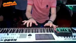 الضوء الشارد توزيع جديد محمد عبدالسلام علي الديري 