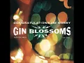 Lagu Gin Blossoms - Til I Hear It From You(audio)