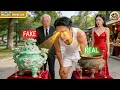 Lagu Useless Son-In-Law Scorned By Wife's Family Secretly A Genius Antique Appraiser Shocking All