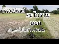 Download Lagu ข้าวมะลินาปีปลูกช้าระวังไม่ได้ข้าว
