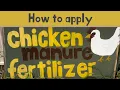 HOW TO APPLY CHICKEN MANURE FERTILIZER