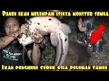 Download Lagu PANEN MONSTER SEGEDE GALON PENGHUNI CURUG TUA