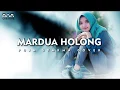 Download Lagu Mardua Holong cover cewek Lirik dan Terjemahan