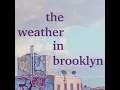 837 Sunday April 14th 2024 The Weather in Brooklyn