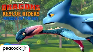 racing the worlds fastest dragon dragons rescue riders heroes of the sky