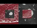 Parra for Cuva - Planet & Body  (Max Cooper Remix) Visuals
