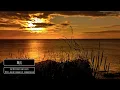 Jody Wisternoff, James Grant, PROFF & Takeshi Furukawa feat. Siobhan Wilson - Mui