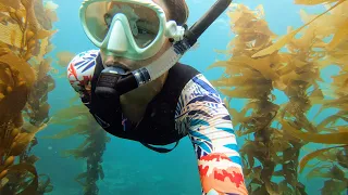 Into the SEA Life! [Adventure #213]