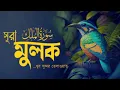 Download Lagu আবেগময় কণ্ঠে সূরা মুলক তিলাওয়াত । Surah Al-Mulk - Emotional Tilawat | By Zain Abu Kautsar