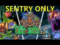 How I Beat Thorium With Terraria s Worst Subclass