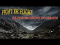 Download Lagu Fight or Flight? In The Shadow of Death
