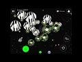 Agar io Mobile Splitrun