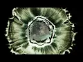 Mary Halvorson - Night Shift (Official Video)