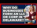 Why Do Businesses Form An LLC Or Corp In Delaware - Small Biz Success Hub