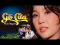 Download Lagu LIVE Bolero Tuyệt Phẩm || Gõ Cửa - HẢI NGÂN || Nhạc Xưa Để Đời.