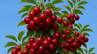 MEKNÈS MAROCAINE LA CAPITALE ISMAELINNE LAVILLE DES ROIS شعور جميل حين تعلم أن هناك من يبحث عنك 