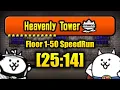 The Battle Cats - Heavenly Tower SpeedRun Floor 1-50 25 14