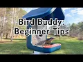 Bird Buddy Smart Bird Feeder Day 3 Update