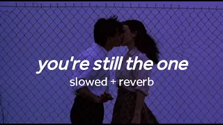 Download you're still the one - shania twain (slowed + reverb with lyrics) MP3