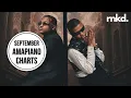 Lagu Top 20 Amapiano Songs in South Africa | September 2025 🥇🇿🇦