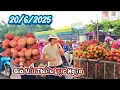 Download Lagu ÁP LỰC BÁN VẢI THIỀU LỤC NGẠN SỚM TINH MƠ I NÚI ĐỒI LỤC NGẠN