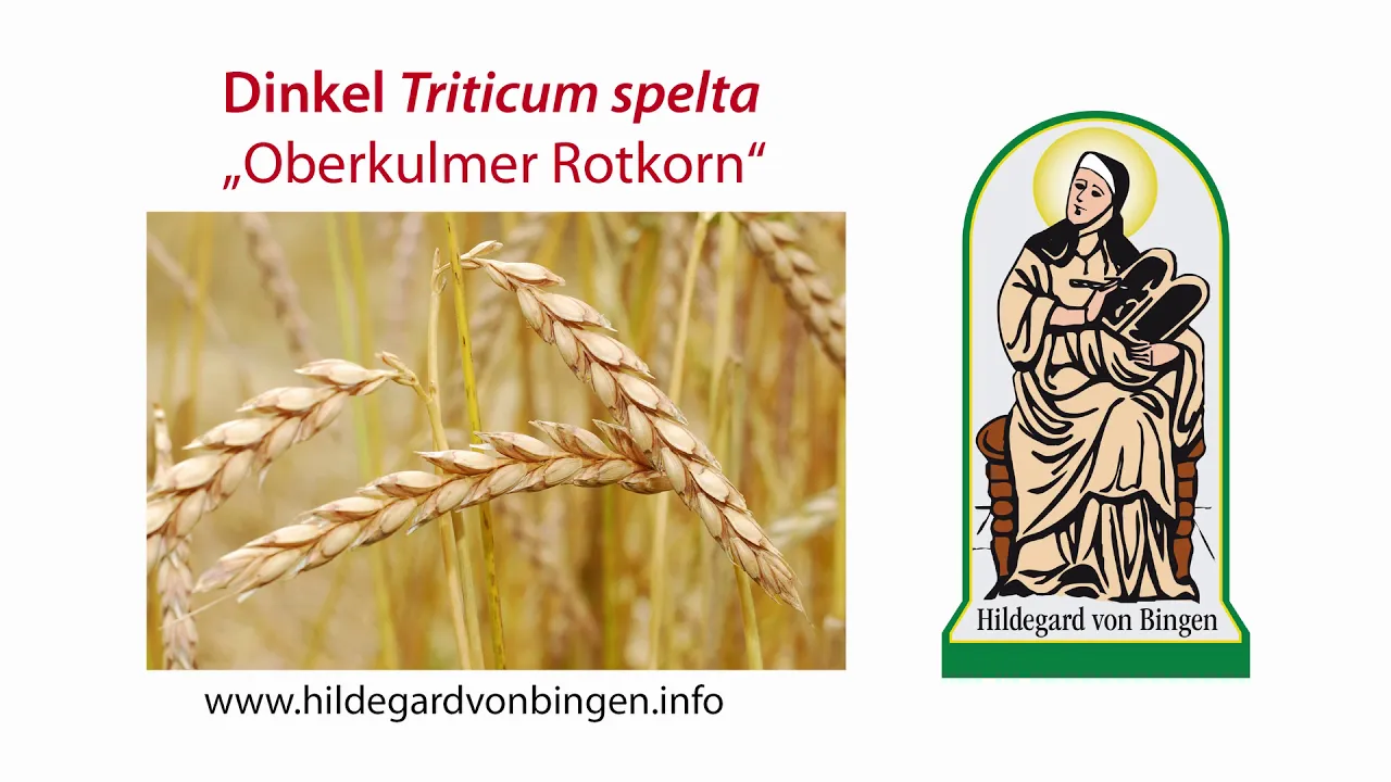 
          
          
          
            
            Dinkel - das beste Getreide! Hildegard von Bingen
          
        . 