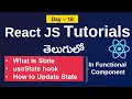 Use state hook in react state in React state in functional component ReactJS tutorials