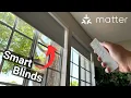 The BEST Matter Smart Blinds SmartWings Smart Blackout Shades Review