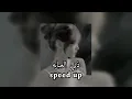 حسام الرسام | ذبي العبايه | speed up 🫶🏻