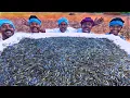 Lagu 10 MILLION TINY FISHES | Ayira Meen | Rare River Fish Cleaning and Cooking In Village | Fish Recipes