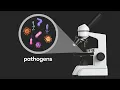 What are pathogens