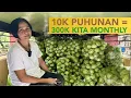 Download Lagu 10K Inputs = 300K Kita per Month  - All Year Round sa Sayote Farming!