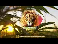 Skip Marley Ft.Damian Marley - That's Not True (Boombassbrothers RMX)