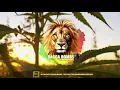 Download Lagu Skip Marley Ft.Damian Marley - That's Not True (Boombassbrothers RMX)