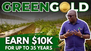 The Hidden Benefits Of Greenhouse Agriculture In GHANA Revealed 