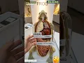 Frog Anatomy Animation Bio AI Art 05