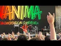 WANIMA Tomoni ワニマ ともに Live in KOREA BUSAN INTERNATIONAL ROCK FESTIVAL 2025 와니마 부산 국제록페스티발 