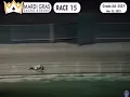 Sprint star CET Dirty Dilly captures career victory No 100