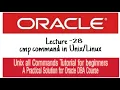 cmp command in