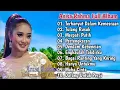 Download Lagu Anisa Rahma full album terbaru terhanyut dalam kemesraan